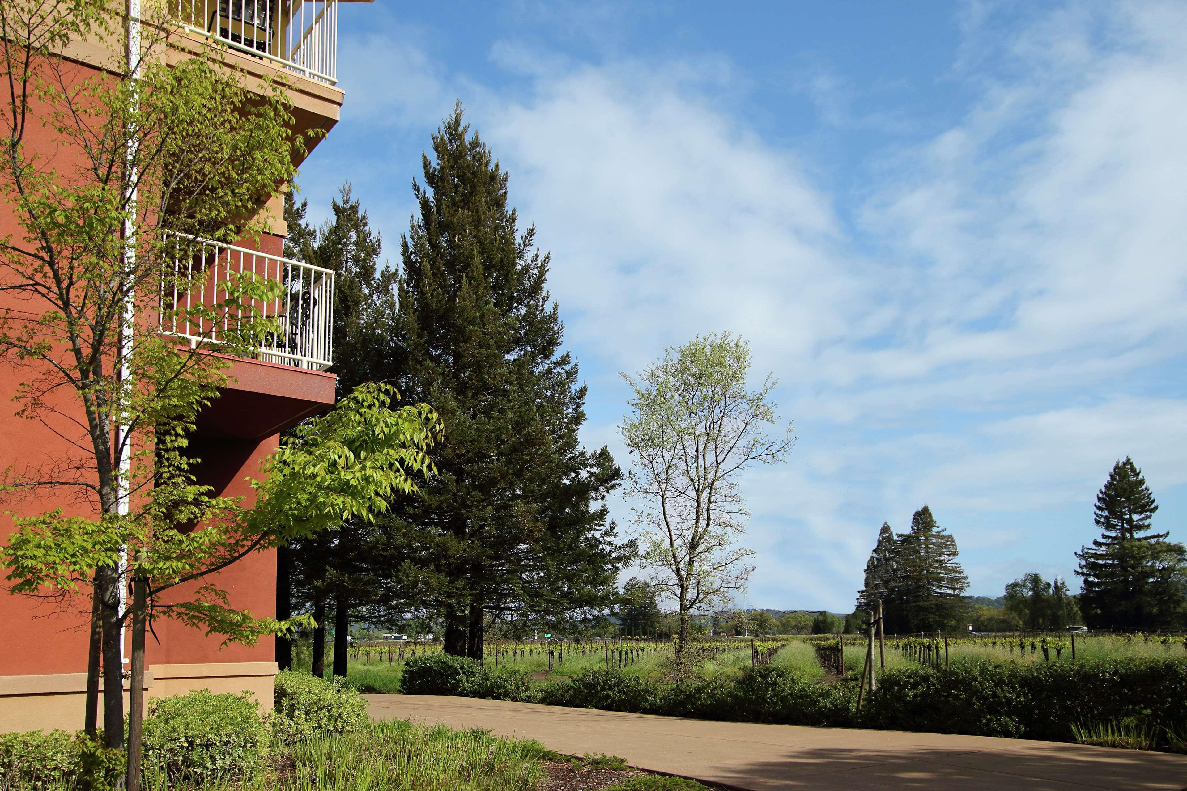 Hilton Garden Inn Sonoma County Airport Santa Rosa Ngoại thất bức ảnh