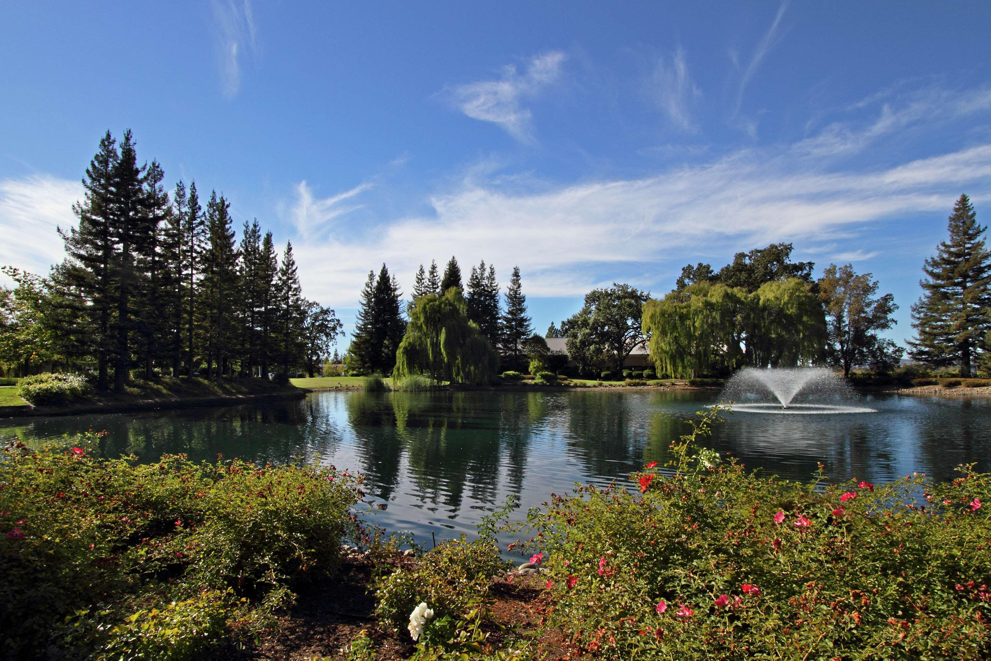 Hilton Garden Inn Sonoma County Airport Santa Rosa Ngoại thất bức ảnh